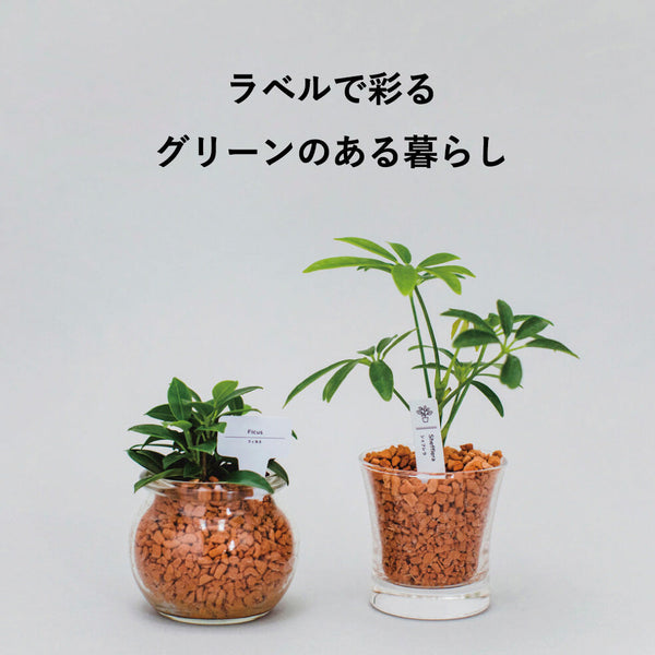 ラベルで彩る グリーンのある暮らし