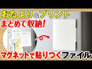 冷蔵庫ピタッとファイル（小物整理タイプ）【スキットマン】